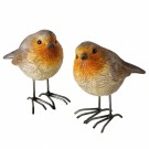 Rødstruper - 2 stk thumbnail