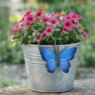 Sommerfugler til potter - sett med 6 ulike sommerfugler thumbnail