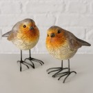 Rødstruper - 2 stk thumbnail