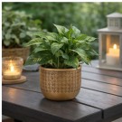 Potte gull 14,5 cm thumbnail