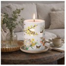 Temalys - friske skudd - 45 timer thumbnail