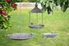 Fuglebad eller matstasjon thumbnail
