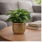 Potte gull 14,5 cm thumbnail