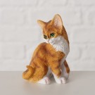 Lysebrun kattepus thumbnail