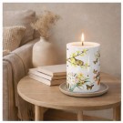 Temalys - friske skudd - 45 timer thumbnail