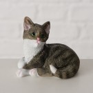 Grå kattepus thumbnail