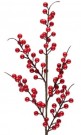 Gren med røde bær thumbnail