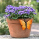 Sommerfugler til potter - sett med 6 ulike sommerfugler thumbnail