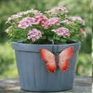 Sommerfugler til potter - sett med 6 ulike sommerfugler thumbnail