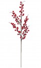 Gren med røde bær thumbnail